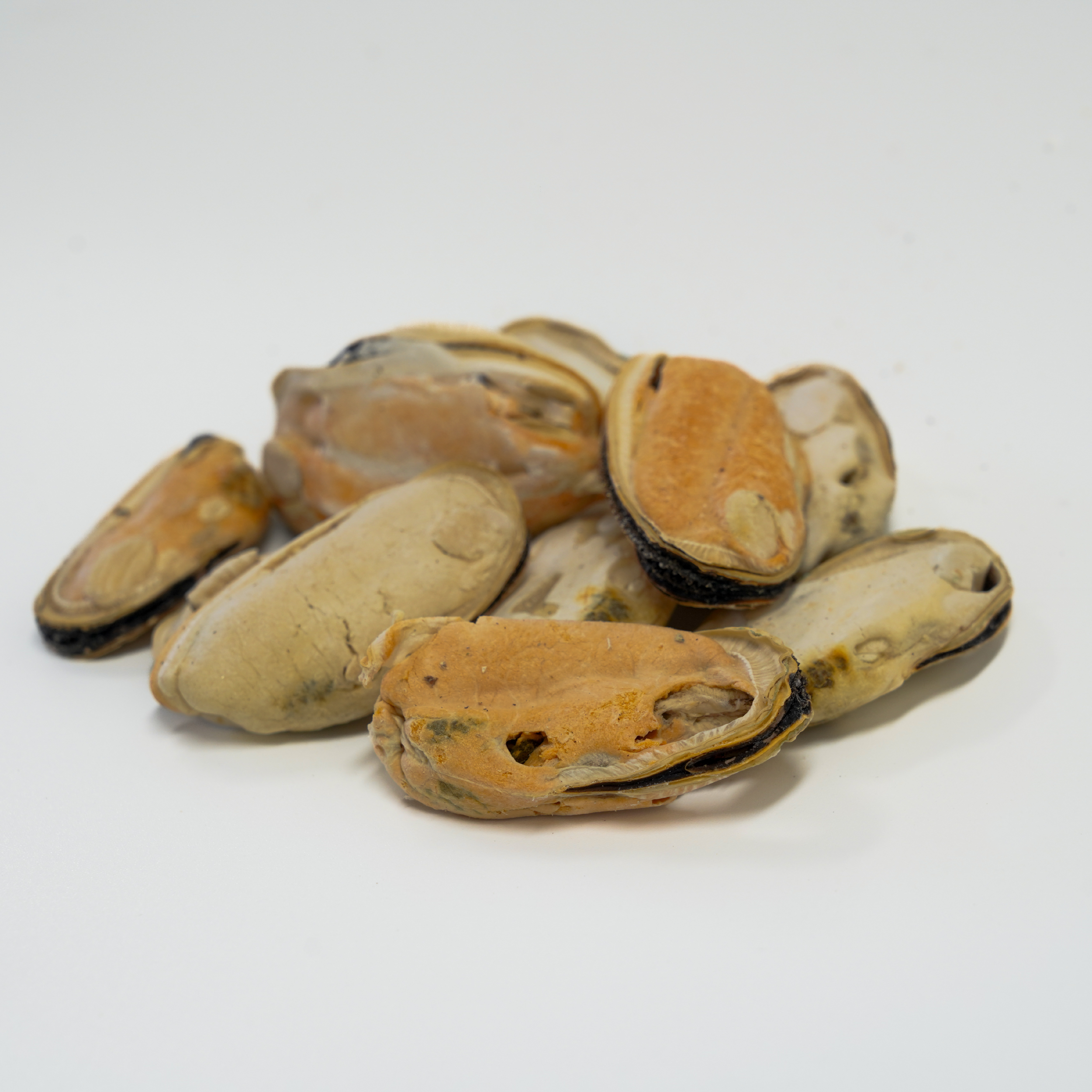 Raw Freeze-Dried Treats | Human-Grade Green Lipped Mussels